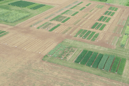 [Übersetzen nach: English] 